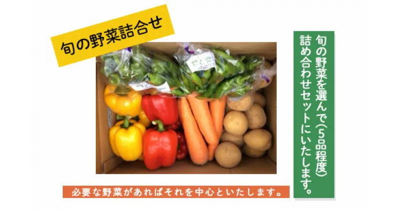 【ふるさと納税】旬の野菜詰合せ【障がい者支援】 fz19-523