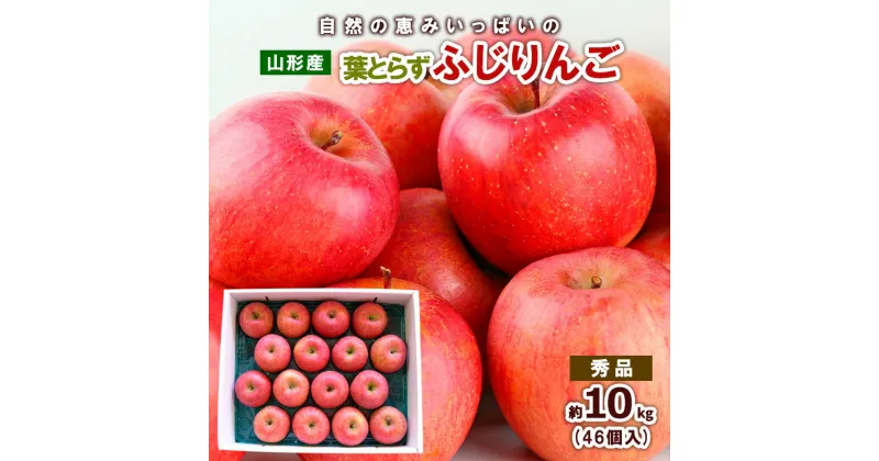 【ふるさと納税】自然の恵みいっぱいの葉とらず ふじりんご 約10kg(46個) fz20-966 リンゴ 林檎 フルーツ 果物 お取り寄せ 送料無料