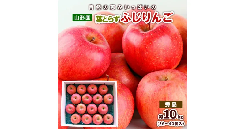 【ふるさと納税】自然の恵みいっぱいの葉とらずふじりんご 約10kg(36個～40個) fz22-929 リンゴ 林檎 フルーツ 果物 お取り寄せ 送料無料