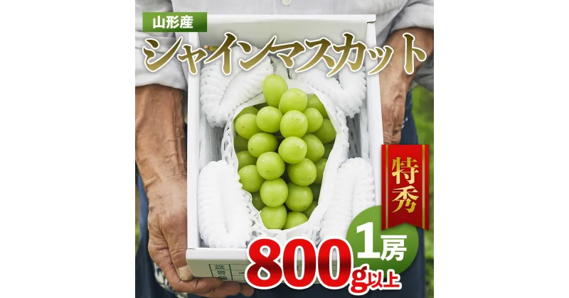 【ふるさと納税】山形市産 シャインマスカット 特秀 1房 800g以上 FZ22-402 fz21-909 fz22-999