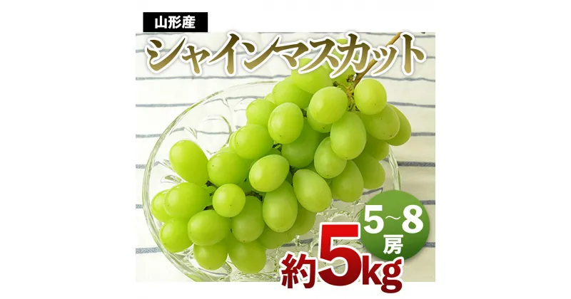 【ふるさと納税】山形の大粒シャインマスカット 秀品 約5kg【令和6年産先行予約】 FS21-647 フルーツ くだもの 果物 お取り寄せ 先行予約