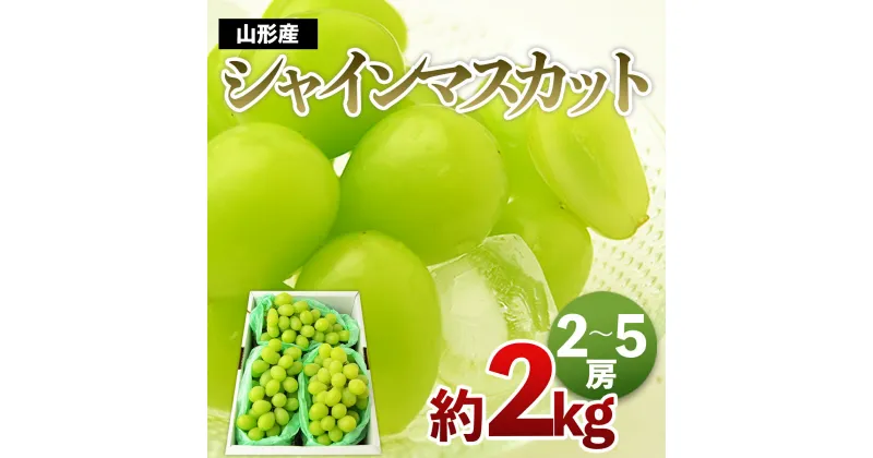 【ふるさと納税】山形のシャインマスカット 秀品 約2kg(2～5房) 【令和6年産先行予約】FU21-649 フルーツ くだもの 果物 お取り寄せ 先行予約