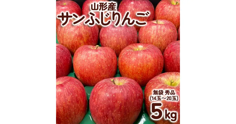 【ふるさと納税】サンふじりんご 無袋 秀品5kg(14玉～20玉) fz23-003 果物 くだもの フルーツ りんご リンゴ お取り寄せ 送料無料 1万円 1万 10000円