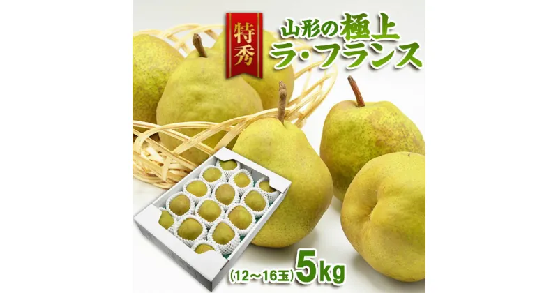 【ふるさと納税】【特秀】山形の極上 ラフランス 特秀品 約5kg(12～16玉) fz23-319 洋梨 ラ・フランス 果物 くだもの フルーツ お取り寄せ 送料無料 洋なし