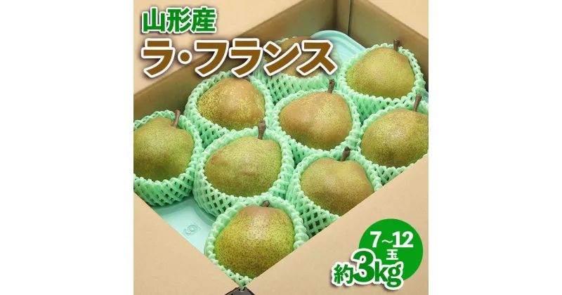 【ふるさと納税】 山形産 ラ・フランス約3kg | 産地直送 旬 2024年発送 fz23-541