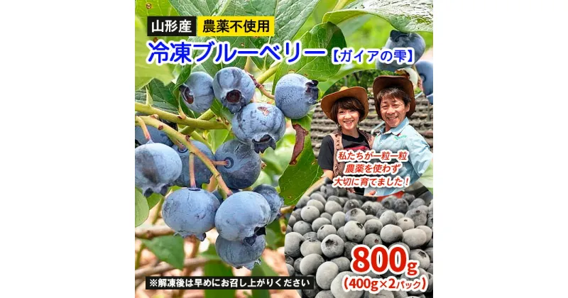 【ふるさと納税】山形産 農薬不使用 冷凍ブルーベリー【ガイアの雫】800g(400g×2)★真空包装★ FZ23-581