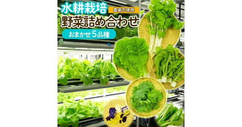 【ふるさと納税】【ミライファーム】水耕栽培 野菜詰合せ おまかせ5品種【障がい者支援】 FZ23-641 無農薬 農薬不使用 野菜 セット 詰め合わせ 山形