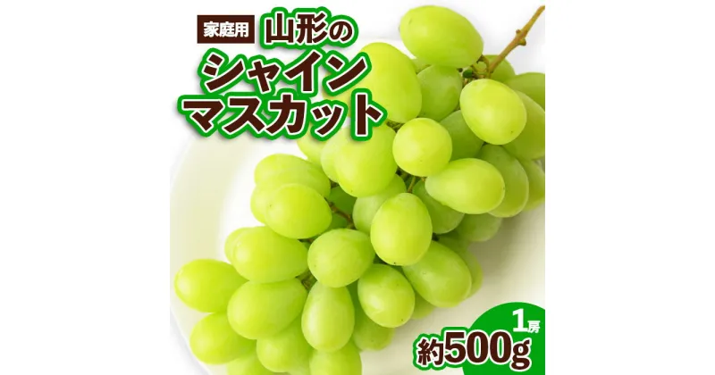 【ふるさと納税】【ご家庭用】山形のシャインマスカット 優品 1房 約500g 【令和6年産先行予約】FS23-647 フルーツ くだもの 果物 お取り寄せ 先行予約 訳あり ぶどう 葡萄 ブドウ 8000円