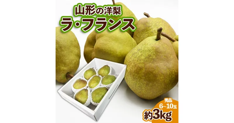 【ふるさと納税】山形の洋梨ラフランス 秀品 約3kg (6～10玉) fz23-650