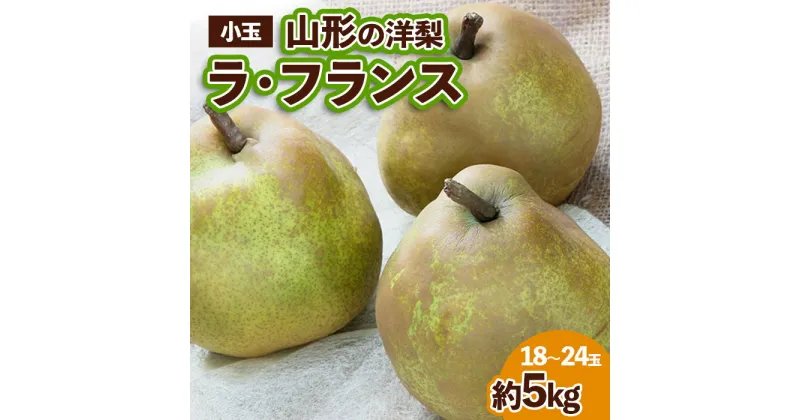 【ふるさと納税】山形の洋梨 ラフランス 優品 約5kg (小玉2L～M/18～24玉) fz23-652