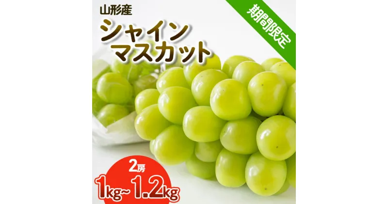 【ふるさと納税】【期間限定】希少！冬のシャインマスカット 秀品 2房入り (1kg～1.2kg) FY23-690