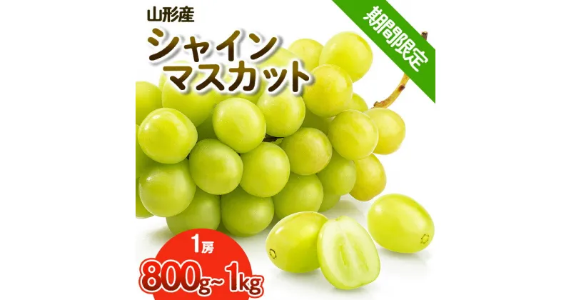 【ふるさと納税】【期間限定】希少！冬の大粒大房のシャインマスカット 秀品 1房(800g～1kg) FY23-710