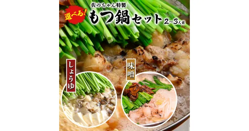 【ふるさと納税】選べる！佐のちゃん特製 もつ鍋セット【しょうゆor味噌】 2～3人前 FZ23-711