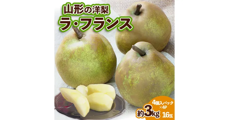 【ふるさと納税】山形の洋梨 ラフランス 優品 約3kg 16玉(4個入パック×4P) FY24-075