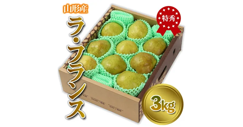 【ふるさと納税】山形産 「ラ・フランス」 特秀品 3kg (8～13玉) FY24-086