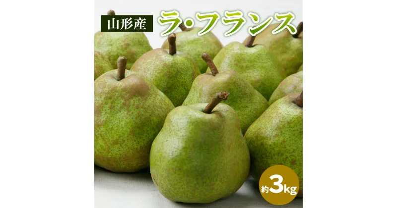 【ふるさと納税】山形のラ・フランス 秀品 約3kg(6～12個) FY24-205