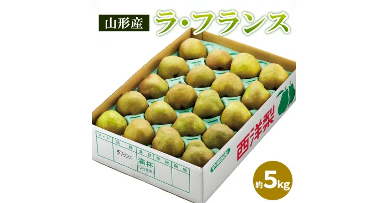 【ふるさと納税】山形のラ・フランス 秀品 約5kg(12～20個) FY24-206