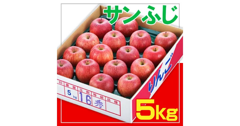 【ふるさと納税】☆フルーツ王国山形☆サンふじりんご 秀品 5kg FY24-283