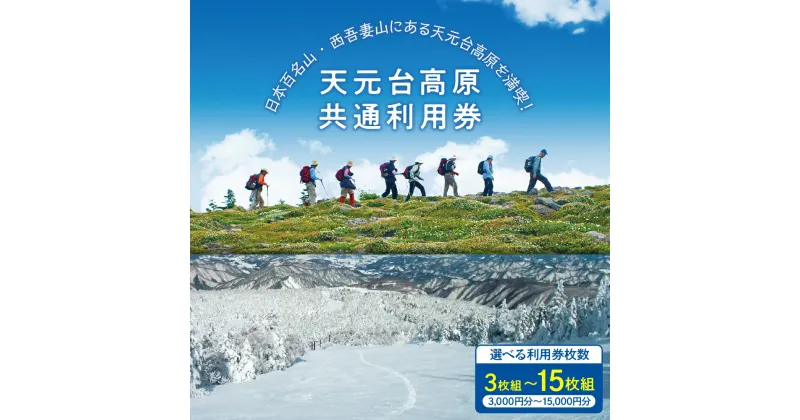 【ふるさと納税】 天元台高原 共通利用券 選べる枚数 3枚組 ( 3,000円 ) 5枚組 ( 5,000円 ) 10枚組 ( 10,000円 ) 15枚組( 15,000円 ) トレッキング グリーンシーズン スキー スノーボード ウィンタースポーツ 天元台 西吾妻山 山形県 米沢市