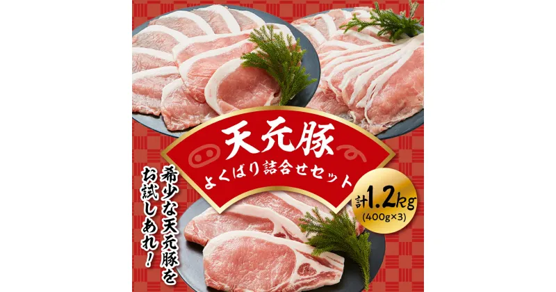 【ふるさと納税】天元豚 よくばり 詰合せ セット 計 1.2kg 豚肉 しゃぶしゃぶ 焼肉 とんかつ 食べ比べ 詰め合わせ 便利 小分け ブランド豚 安全 ヘルシー ポーク 低カロリー おかず お取り寄せ 送料無料 東北 山形県 米沢市