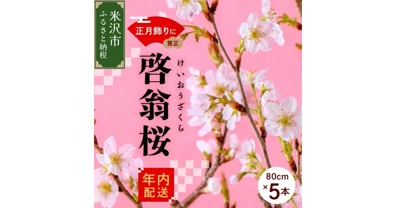 【ふるさと納税】《 先行予約 》【 年内発送 / 数量限定 】 啓翁桜 ( けいおうざくら ) 80cm × 5本 花 生花 枝花