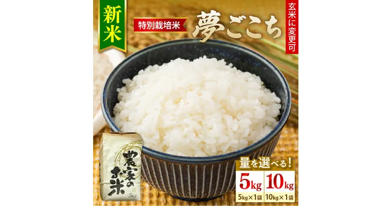 【ふるさと納税】【令和6年産 新米】特別栽培米 夢ごこち ( 選べる内容量 : 5kg 10kg ) 1袋 玄米可 農家直送 2024年産 米 お米 白米 ブランド米 ご飯 ごはん ライス お取り寄せグルメ 常温配送 送料無料 山形県 米沢市