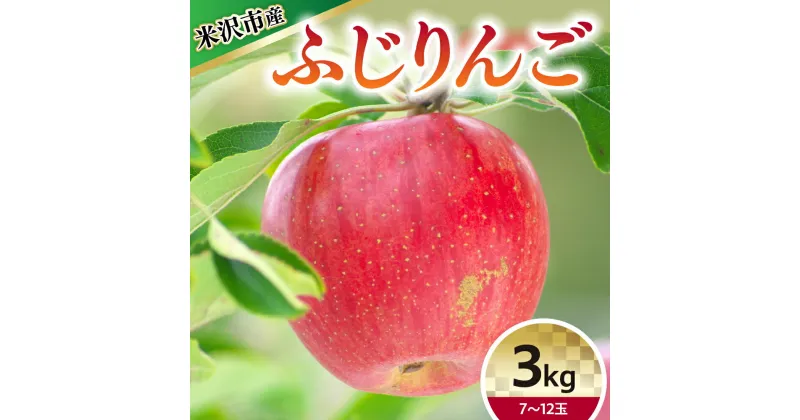 【ふるさと納税】【令和6年産】りんご ふじ 3kg 7〜12玉【12月上旬〜お届け】2024年産 りんご リンゴ 林檎 ふじ 3kg 7～12玉 産地直送 直送 農家直送 フルーツ 山形県 米沢市