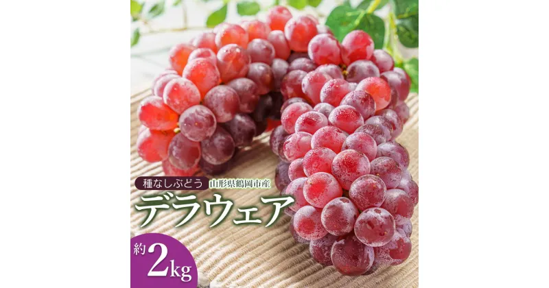 【ふるさと納税】【令和7年産 先行予約】種なし ぶどう デラウェア 約2kg（10〜16房）鶴岡市産 K-730 | 葡萄 ブドウ フルーツ 果物 くだもの 山形県 デラウエア 種無しぶどう お取り寄せ 自宅用 家庭用 国産 果実