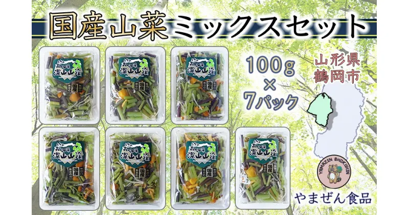 【ふるさと納税】国産山菜ミックスセット 100g×7パック A01-755 | 山形県鶴岡市 山形 鶴岡 楽天ふるさと 納税 支援 東北 返礼品 山菜 セット 野菜 やさい お取り寄せ ご当地 特産品 食品 食べ物 食料品 取り寄せ さんさい 山の幸 国産 国産山菜 お土産 支援品 土産