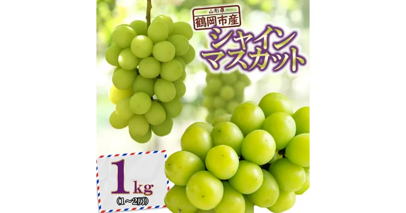 【ふるさと納税】【令和7年産 先行予約】鶴岡市産シャインマスカット 約1kg（1〜2房） K-733 | 山形県 鶴岡市 フルーツ 果物 くだもの ぶどう 種なし ブドウ 葡萄 お取り寄せ グルメ 自宅用 家庭用