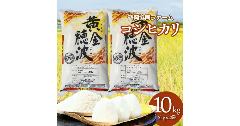 【ふるさと納税】令和6年産　山形県産コシヒカリ 無洗米 10kg（5kg×2袋）　鶴岡協同ファーム