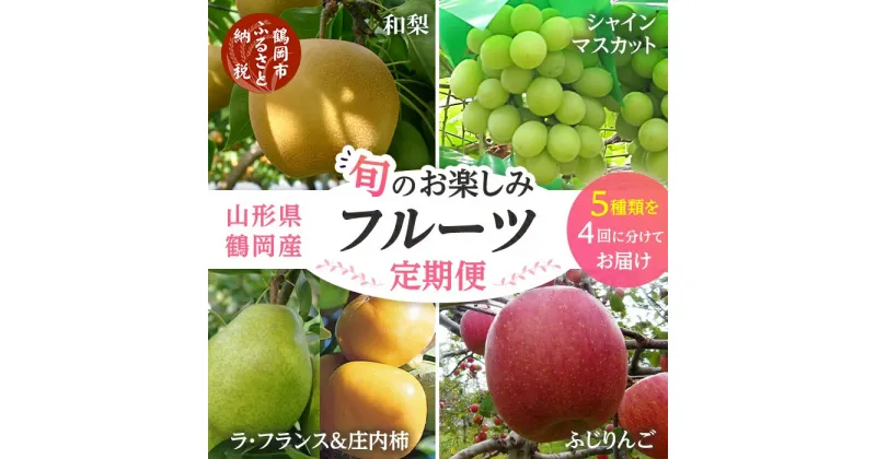 【ふるさと納税】【令和7年産 先行予約】【定期便】鶴岡産旬のお楽しみフルーツセット(果物) シャインマスカット 和梨 ラフランス 庄内柿 りんご(計4回、5種) | 山形県 鶴岡市 山形 くだもの 幸水 豊水 柿 フルーツ定期便 自宅用 家庭用