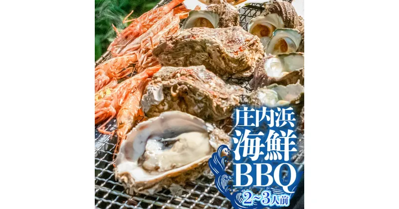 【ふるさと納税】【令和7年産先行予約】庄内浜 海鮮BBQ(バーベキュー)セット 2〜3人前 K-746 | 山形県 鶴岡市 楽天ふるさと 納税 支援 返礼品 お取り寄せグルメ 食材 魚介類 海の幸 水産 牡蠣 さざえ