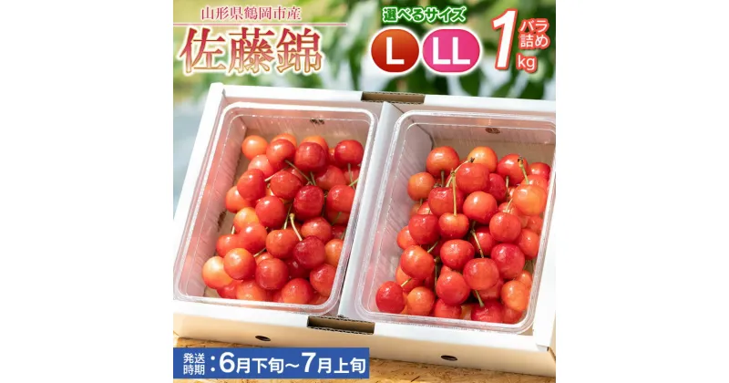 【ふるさと納税】【令和7年産 先行予約】さくらんぼ 佐藤錦 バラ詰め 1kg　サイズ選べます［Lサイズ～LLサイズ］ 【6月下旬頃発送予定】もぎたて「初夏の味覚」丸忠農園 | 山形県 鶴岡市 返礼品 東北 フルーツ 果物 くだもの お取り寄せ ご当地 サクランボ 特産品