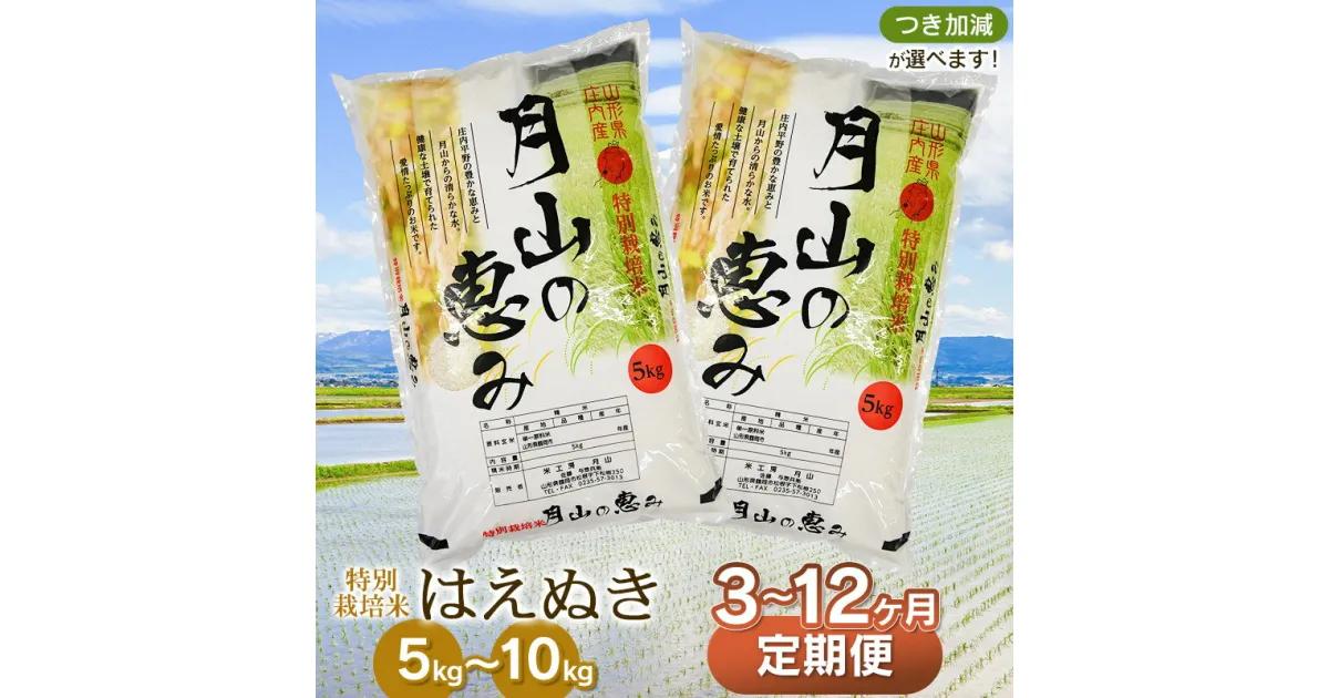 【ふるさと納税】 令和6年産【定期便】 特別栽培米 はえぬき 選べる容量（5kg・10kg）・発送回数（3・6・12回） 毎月1回中旬発送 | 山形県 鶴岡市 無洗米 白米 ブランド米 特産品 お取り寄せ 食べ比べ お米 おこめ