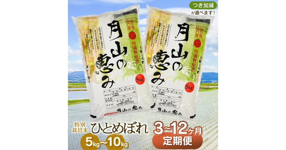 【ふるさと納税】 令和6年産【定期便】特別栽培米 ひとめぼれ 選べる容量（5kg・10kg）・発送回数（3・6・12回） 毎月1回中旬発送 | 山形県 鶴岡市 無洗米 玄米 白米 ブランド米 特産品 お取り寄せ お米 おこめ