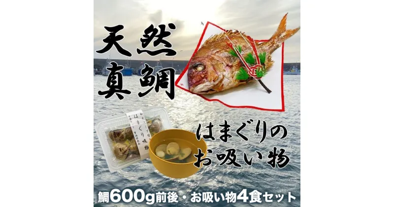 【ふるさと納税】祝い鯛・はまぐりのお吸い物セット　鯛600g前後(約3〜4人前)・お吸い物4食