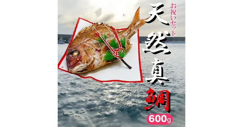 【ふるさと納税】ハレの日を華やかに　お祝いセット 鯛600g（約3～4人前）　ハマグリのお吸い物・赤飯・コハダ甘酢漬け・黒豆煮