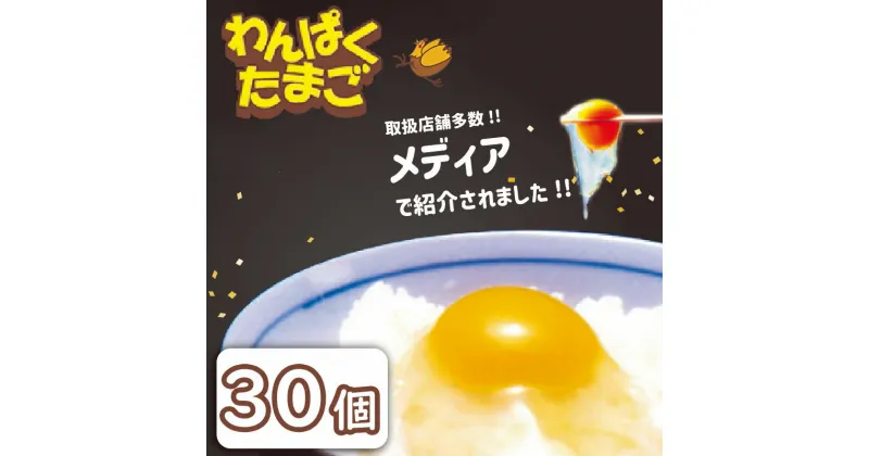 【ふるさと納税】太陽の下放し飼い わんぱく 卵 「10個入×3パック」 計30個