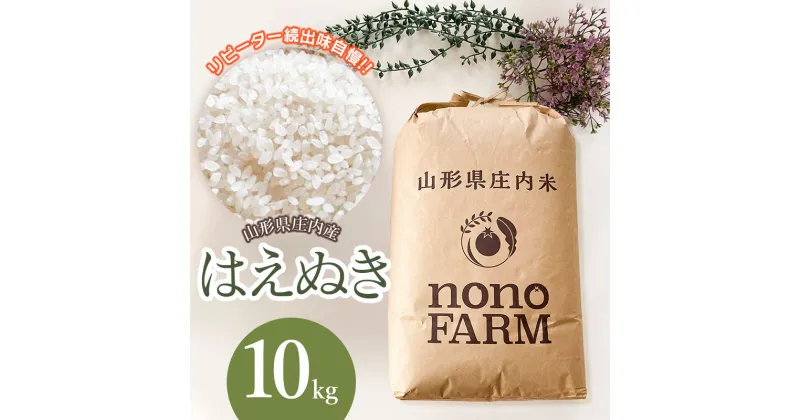 【ふるさと納税】令和6年産 はえぬき 精米 10kg 山形県庄内産 | お取り寄せ 特産品 10キロ 鶴岡 支援 ご当地 ブランド米 白米