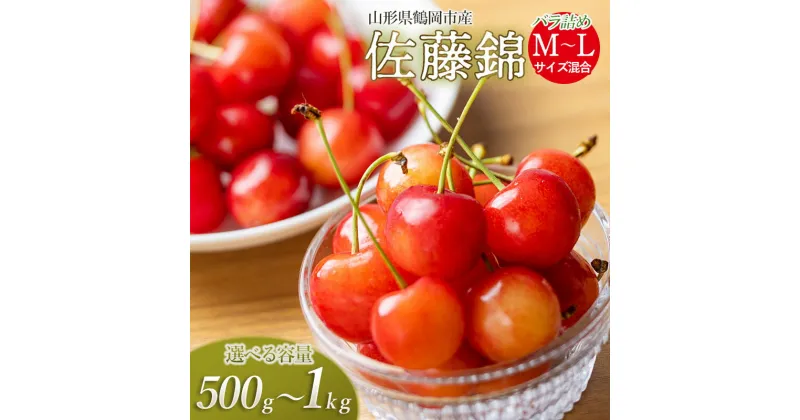 【ふるさと納税】【令和7年産 先行予約】さくらんぼ 佐藤錦 バラ詰め M〜Lサイズ混合 選べる容量［500g～1kg］ 山形県鶴岡市産