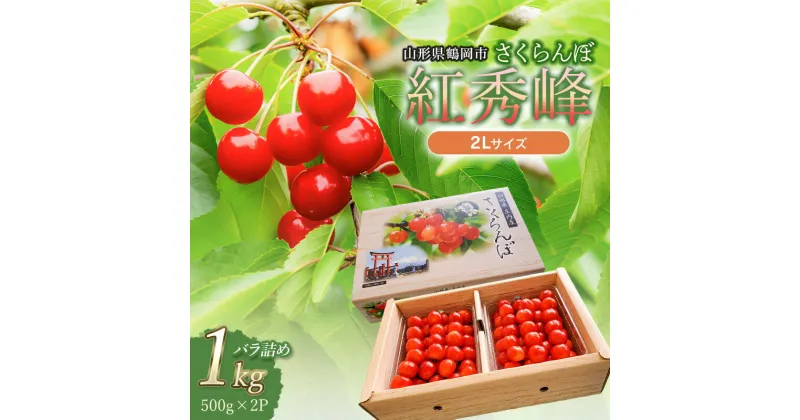 【ふるさと納税】【令和7年産 先行予約】さくらんぼ 紅秀峰 2Lサイズ 1kg（500g×2P）　バラ詰め