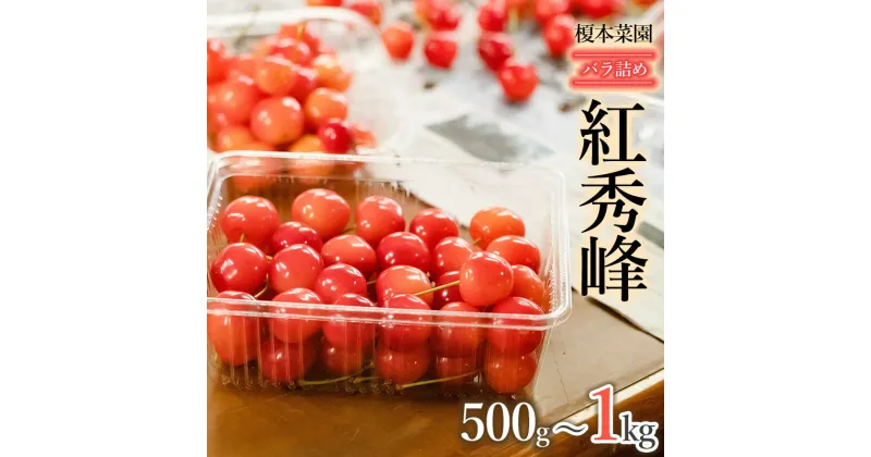 【ふるさと納税】 【令和7年産先行予約】さくらんぼ 紅秀峰 バラ詰め［500g～1kg］ 山形県 鶴岡市産　榎本菜園　K-732・K-745・K-763