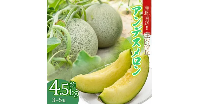 【ふるさと納税】【令和7年産 先行予約】 産地直送!! 庄内砂丘アンデスメロン 約4.5kg (3玉〜5玉) K-733 | 山形県 鶴岡市返礼品 フルーツ 果物 くだもの お取り寄せグルメ 青肉 めろん 特産品 名産品