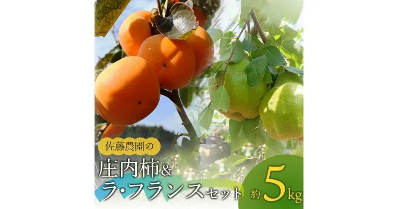 【ふるさと納税】【令和6年産 先行予約】庄内柿 M〜L(約3kg)＆ラ・フランス2L〜3L(約2kg)セット　合計約5kg