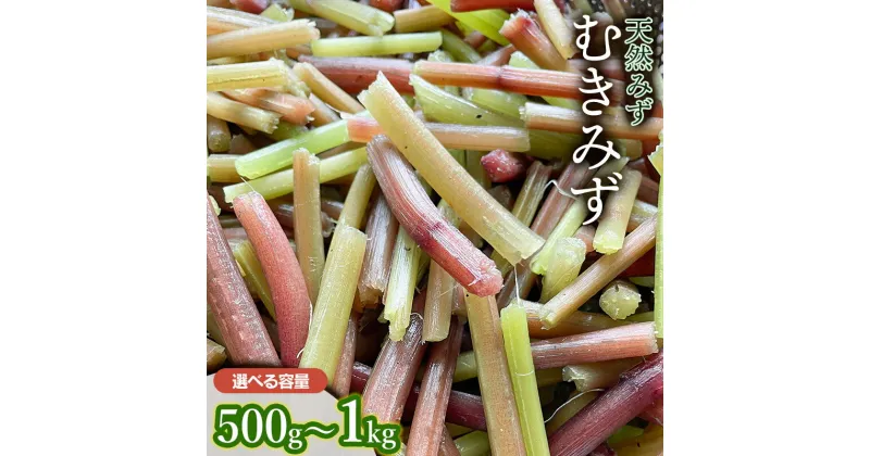 【ふるさと納税】 【令和7年産 先行予約】むきみず 【500g～1kg】　天然みず 　わかば屋