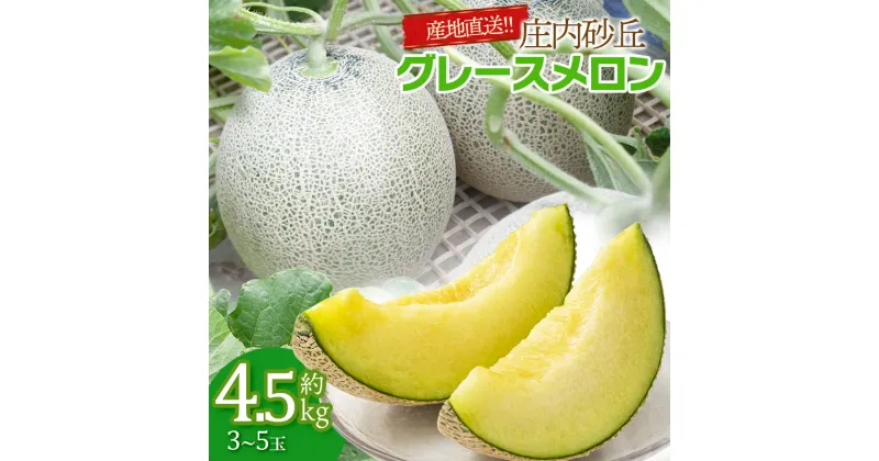 【ふるさと納税】【令和7年産 先行予約】産地直送！ 庄内砂丘グレースメロン 約4.5kg（3〜5玉）秀品 4L～2L玉 K-733 | 山形県 鶴岡市 フルーツ 果物 くだもの お取り寄せグルメ 青肉 めろん 特産品 名産品