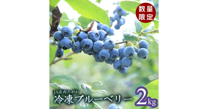 【ふるさと納税】【数量限定】令和6年産 冷凍ブルーベリー 2kg 山形県庄内産 K-633 | 冷凍フルーツ 果物 くだものお取り寄せグルメ 国産 食べ物 たべもの 食品 ご当地 特産品