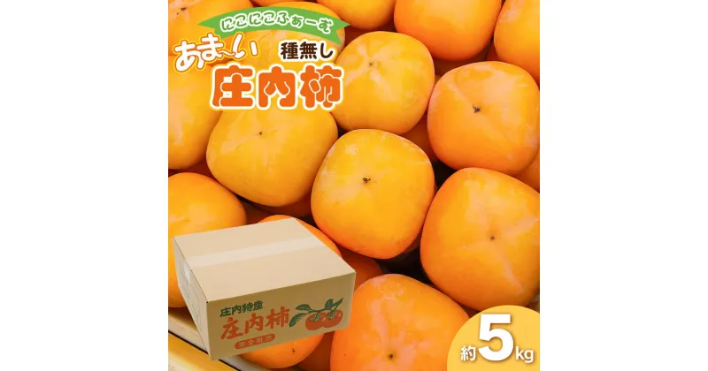 【ふるさと納税】【令和6年産 先行予約】にこにこふぁーむのあまーい種無し庄内柿　ホワイトリカー35度で渋抜き済　M～Lサイズ約5kg（20～24個入）　A16-603