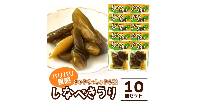 【ふるさと納税】しなべきうり10個セット 庄内観光物産館